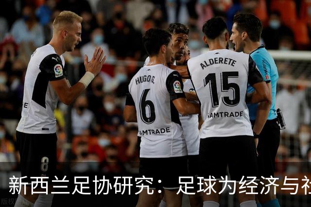 新西兰足协研究：足球为经济与社会带来超8亿纽元的效益